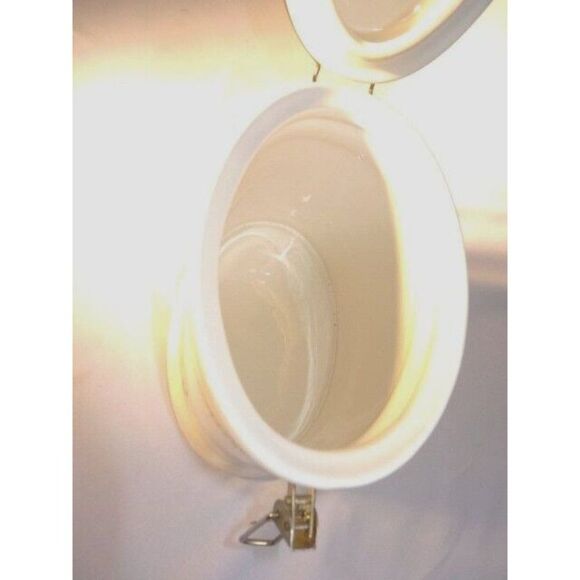 Knotts Berry Farm 2010 Ceramic Canister Oval Fruit Berries Gold Tone Accents - Picture 6 of 7